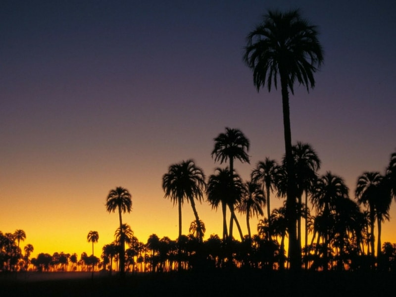 Parque Nacional El Palmar